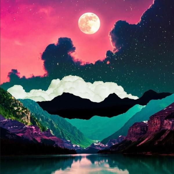 救援受困的鬃狼