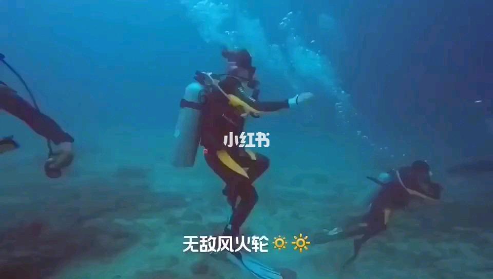 海贼王伟大冒险