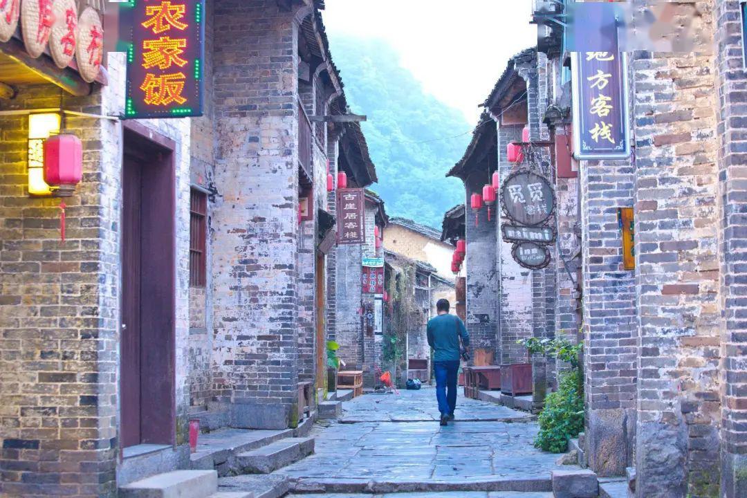战僵特警